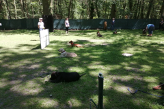 IMG_20190601_142252